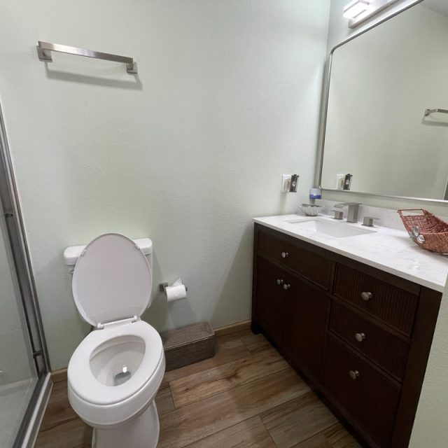 Modern bathroom with glass shower, toilet, double-sink vanity, large mirror, and wood-look tile flooring.