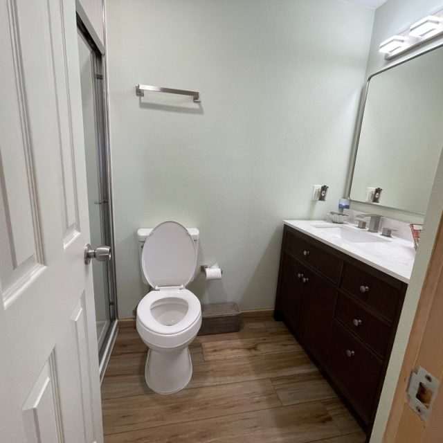 Small bathroom with a toilet, sink vanity, mirror, and shower; wood-look flooring and neutral-colored walls.