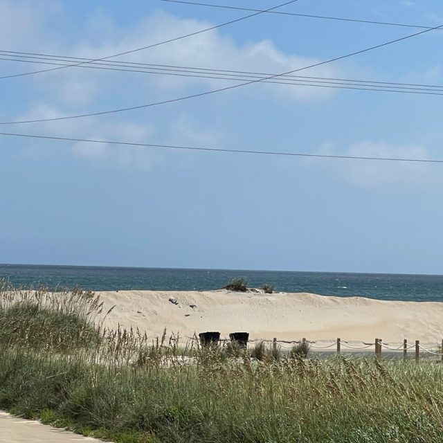Sandy beach with grassy dunes, trash bins, and ocean in the background under a partly cloudy sky and power lines.