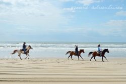 Three people ride horses along a sandy beach with the ocean and cloudy sky in the background.