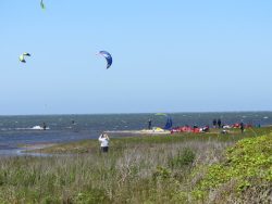 People are kiteboarding on the ocean while others gather on the grassy shore under a clear blue sky.