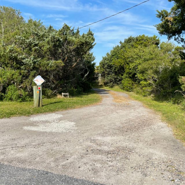 Gravel and dirt trail leads into dense green trees, with a signpost and small bench on the left side of the path.