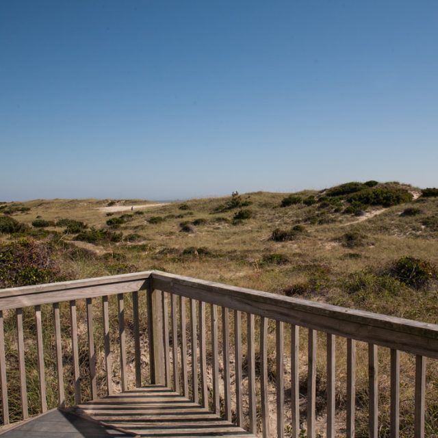Wooden deck railing overlooks grassy sand dunes under a clear blue sky on a sunny day.
