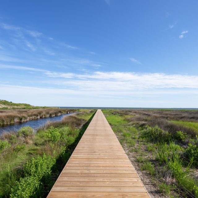 Wooden boardwalk stretches through grassy wetlands under a clear blue sky, with water running beside the path.