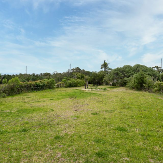 Open grassy field with scattered trees and shrubs under a blue sky with light clouds.