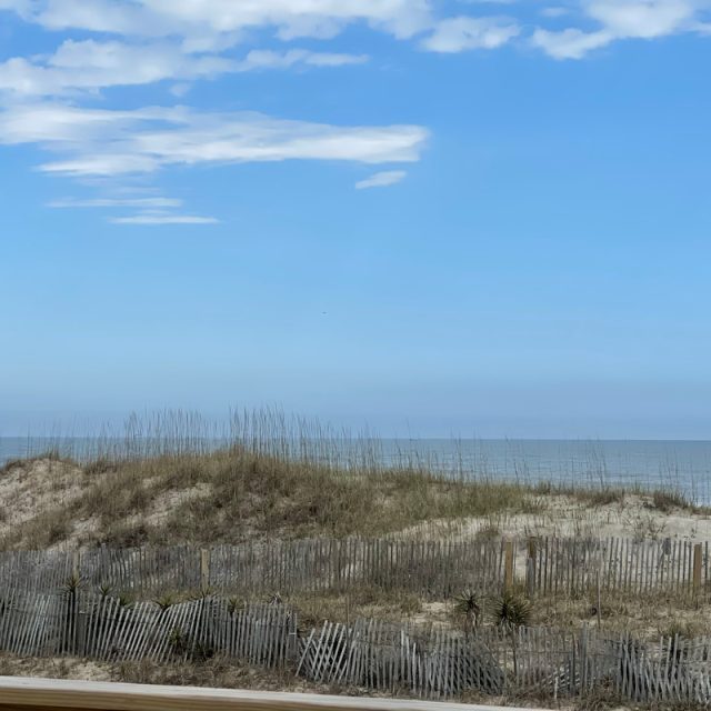 Sandy dune with beach grass and wooden fences under a blue sky, overlooking a calm ocean in the background.