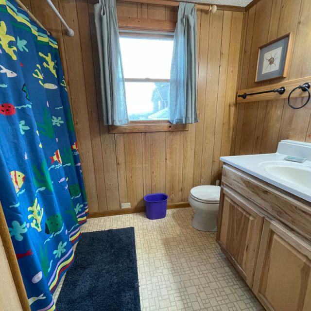 Wood-paneled bathroom with fish shower curtain, white sink, toilet, window with blue curtains, and a blue rug.