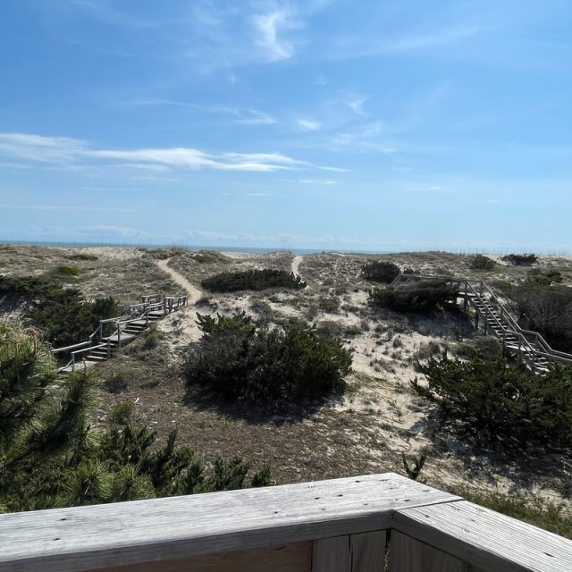 Wooden walkways lead over sandy dunes to the beach under a blue sky, viewed from a wooden deck.