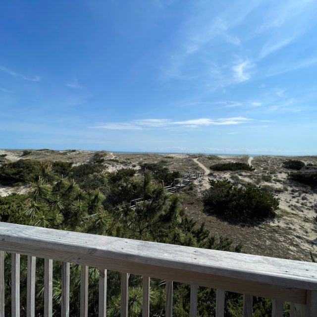 View of sandy dunes, scattered shrubs, and a wooden fence under a blue sky, seen from a deck railing.