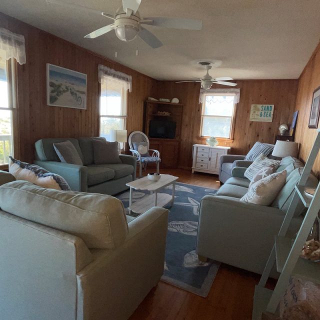 Living room with wood-paneled walls, light sofas, blue rug, TV, ceiling fans, windows, and decorative shelves.