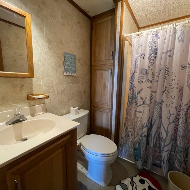 Small bathroom with a sink, toilet, wooden cabinets, mirror, and a shower with a sea-themed curtain.