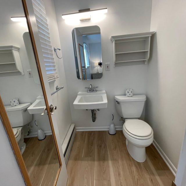 Small bathroom with a wall mirror, sink, toilet, shelves, and light fixture; wood-patterned floor.