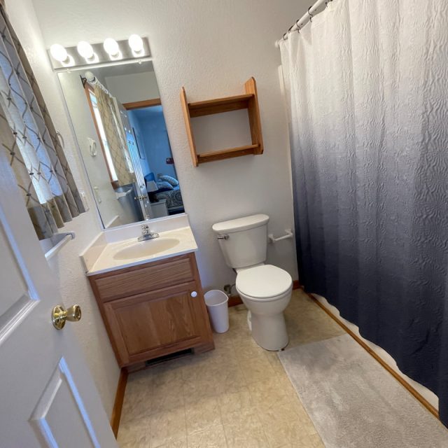 Small bathroom with a wood vanity, toilet, wall shelf, mirror, and a shower with a gray ombre curtain.