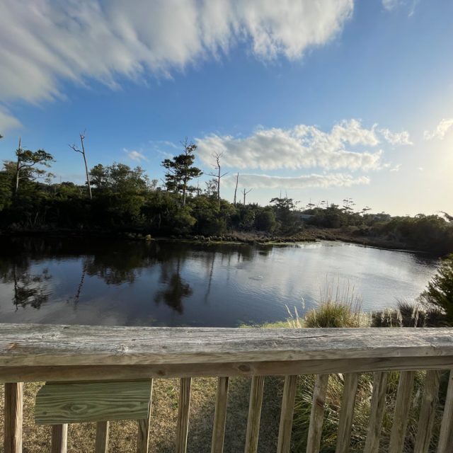 View from a wooden railing overlooking a calm river with trees and blue sky in the background on a sunny day.
