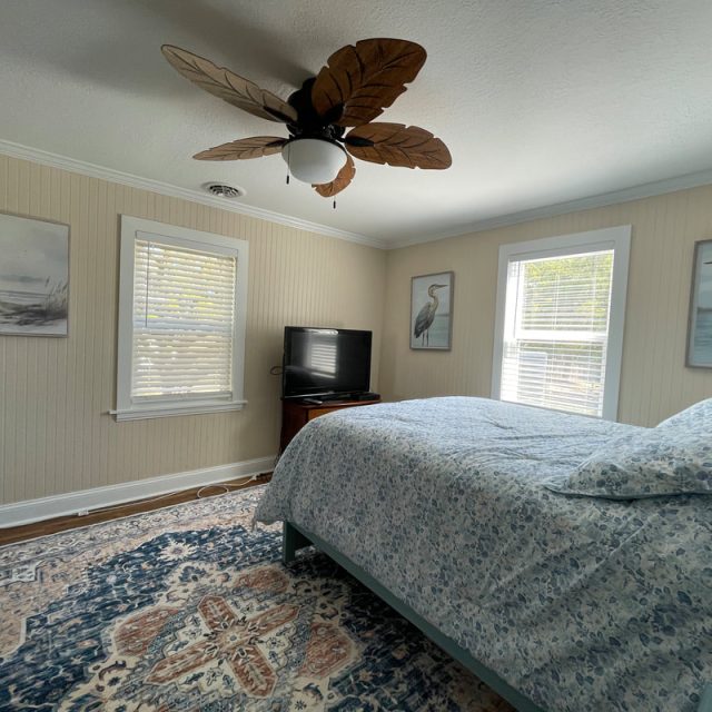 Bedroom with a blue patterned bedspread, rug, TV, large windows, and nature-themed wall art.