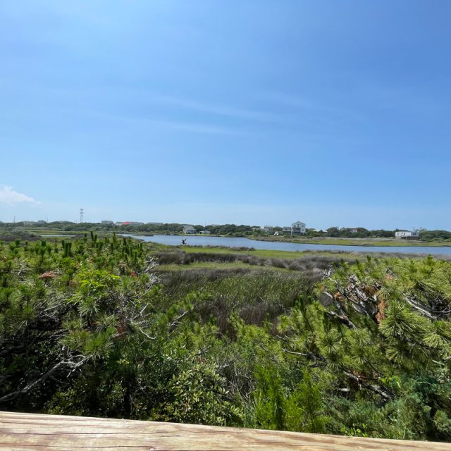 View of a marshland with green vegetation, distant houses, and a clear blue sky on a sunny day.