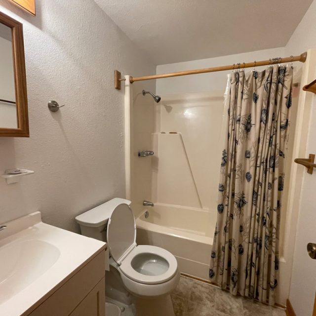 Small bathroom with a sink, toilet, and shower-tub combo with a patterned shower curtain and beige walls.