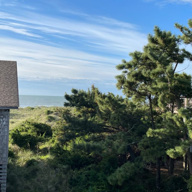 A wooden house with a shingle roof sits near trees and greenery, with the ocean and blue sky in the background.