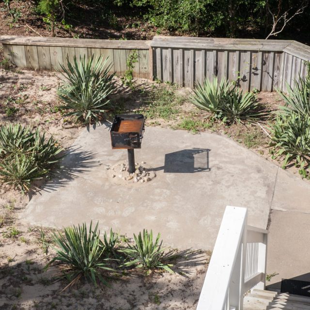 A small grill is mounted on a concrete pad, surrounded by yucca plants and a wooden fence in an outdoor area.