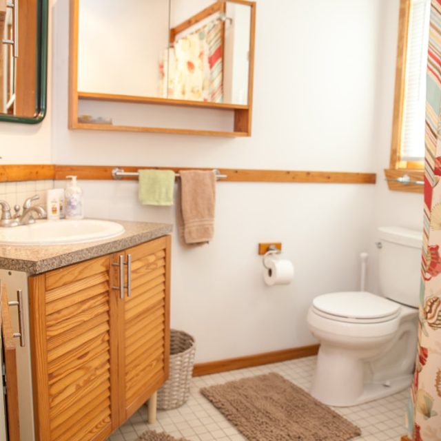 Small bathroom with a sink, toilet, mirror, wooden cabinet, and a shower curtain with a seashell pattern.