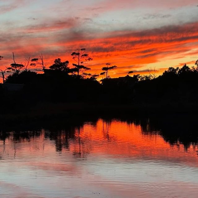 Silhouetted trees and calm water reflect a vibrant orange and red sunset sky with scattered clouds.